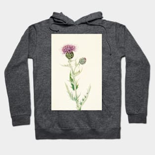 Prairie Thistle - Botanical Illustration Hoodie